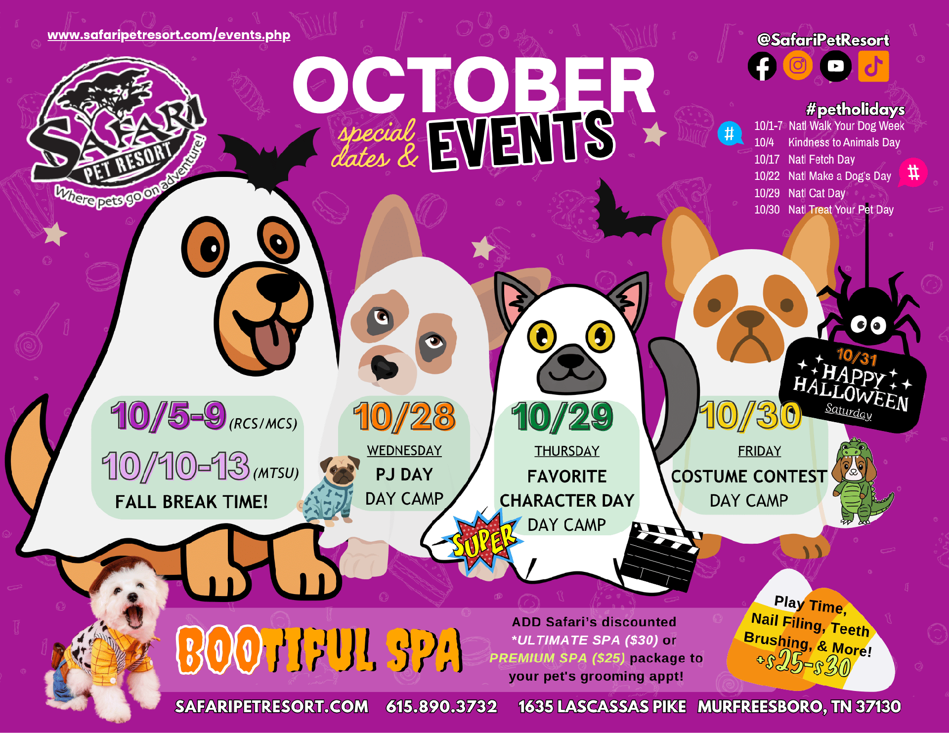 Pet events and activities at Safari Pet Resort
