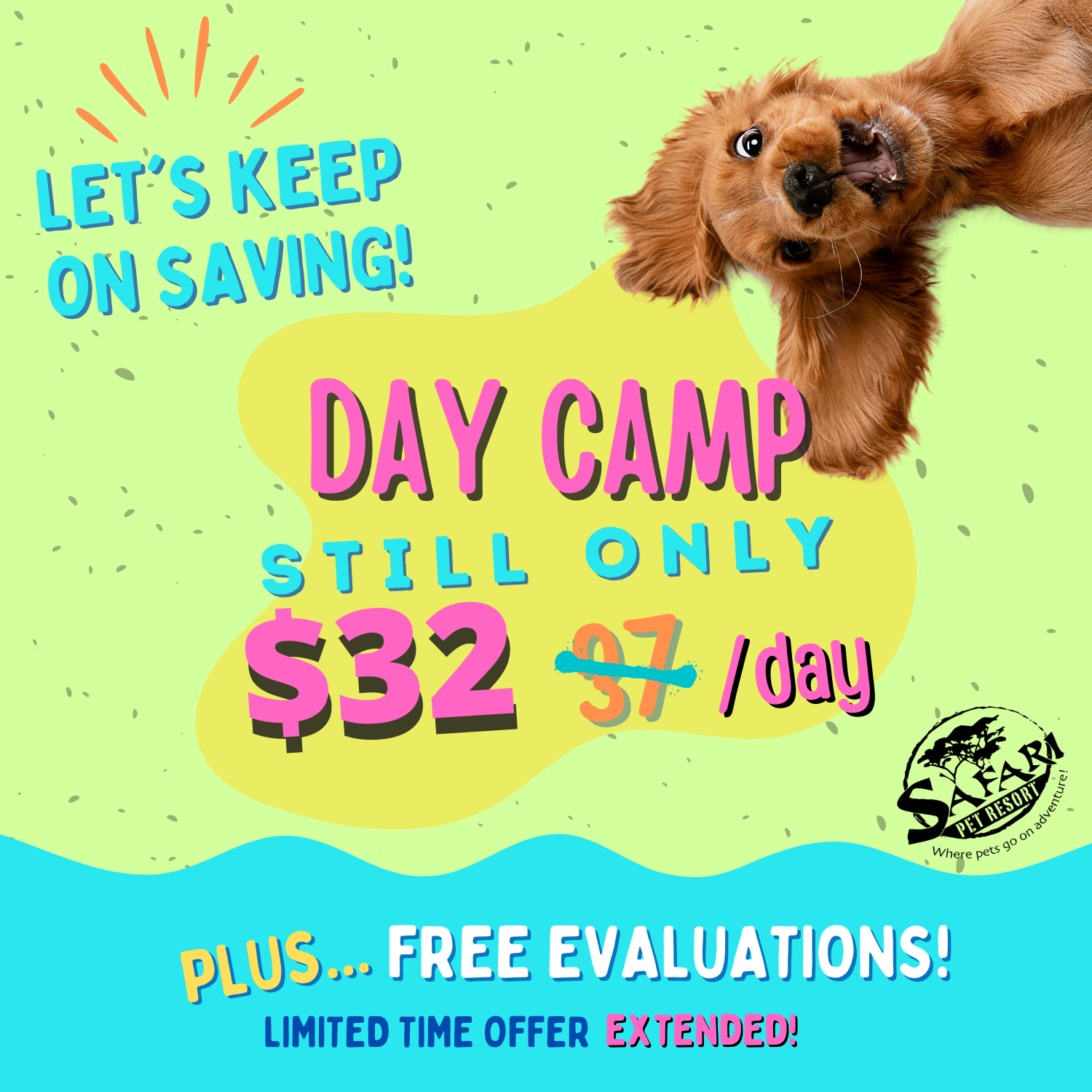 safari pet resort murfreesboro hours safari pet resort murfreesboro hours
