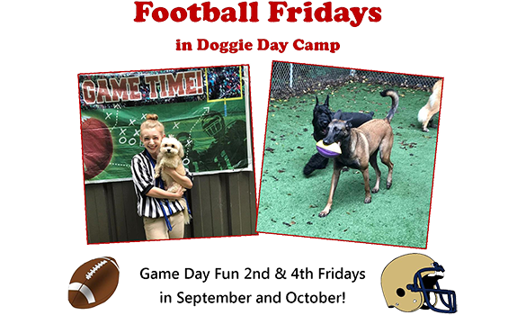 Football Fridays
