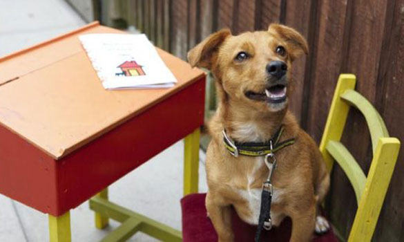 Bark to School Pup-Craft
