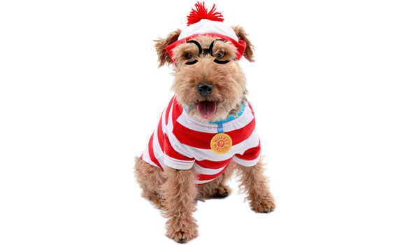 Fall Fest: HOWL-o-Ween Costume Contest