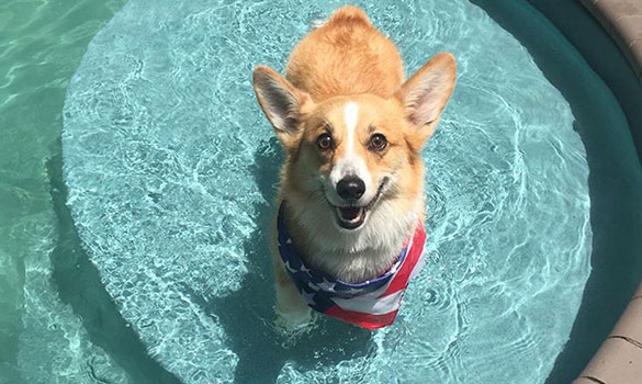 Memorial Day Pool Party Package