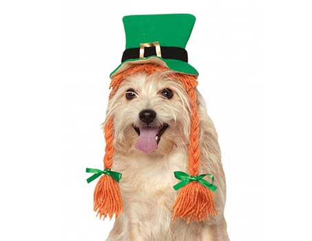 St. Patrick's Day Pup-Craft