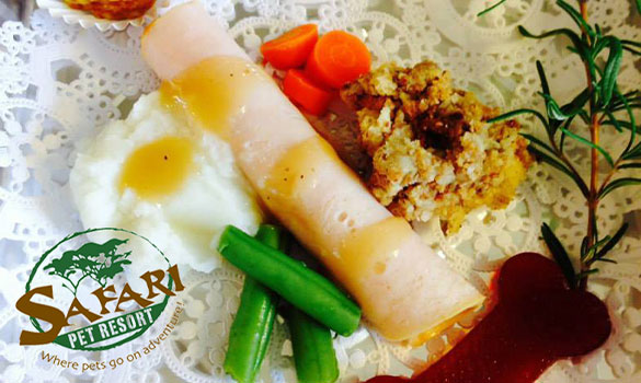 Thanksgiving Feast