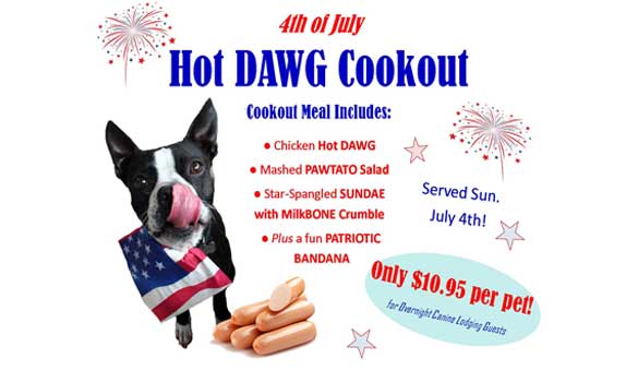Hot Dawg Cookout