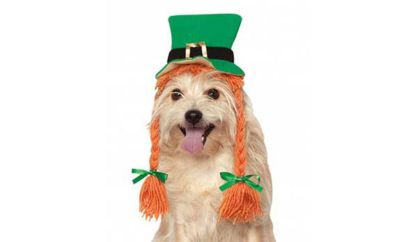 St. PAWtrick's Day Pup-Craft