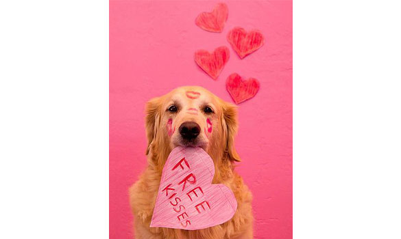Valentine's Pup-Craft